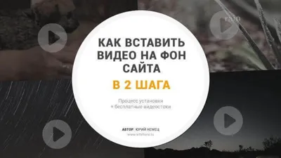 Веб-проект: делаем аквариум с разными обитателями — Журнал «Код»  программирование без снобизма