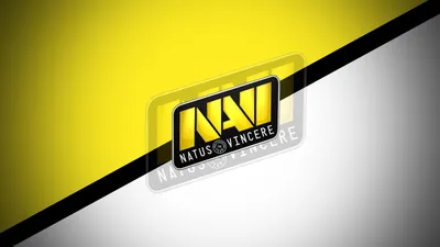 Download wallpaper Games, Dota, Natus Vincere, CS:GO, Navi, section games  in resolution 1680x1050