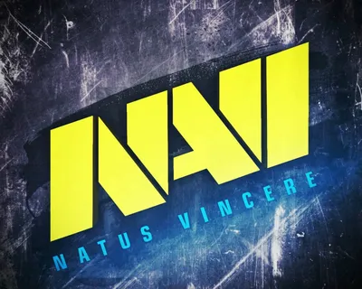 NAVI Shop - 100% Official Online Merchandise Store | Natus Vincere