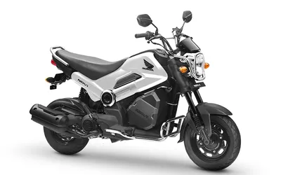 2022 Honda Navi First Ride Review | Cycle World