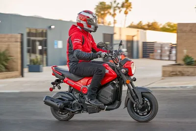 2022 Honda Navi Review: A City Bike That's Practical, Fun and Dirt Cheap |  Gear Patrol