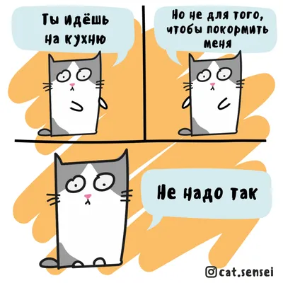 Не надо так | Кот Сэнсэй | Дзен