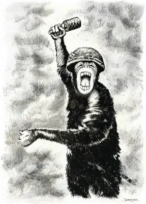 [71+] Картинка обезьяна с гранатой обои
