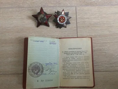 Учрежден орден «Красной звезды» | День в истории на портале ВДПО.РФ
