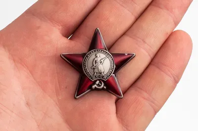 Знак 6 Гдынский ордена Красной звезды пограничный отряд Ш-1055У | AliExpress