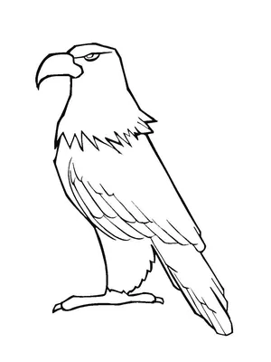 Степной орел рисунок карандашом - 73 фото