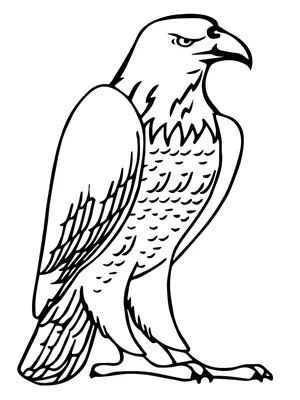 Птицы шаржа одичалые для детей: Орел Милый орел сидит на утесе Иллюстрация  вектора - иллюстрации насчитывающей мило, сокол: 74394730