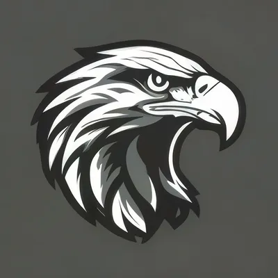 Черно-белая голова орла. иллюстрация вектора. иллюстрации насчитывающей  сокол - 210608579