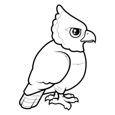 Черно-белая иллюстрация головы орла на белом фоне, цифровая картинка  Иллюстрация штока - иллюстрации насчитывающей обезьяна, конспектов:  165960324