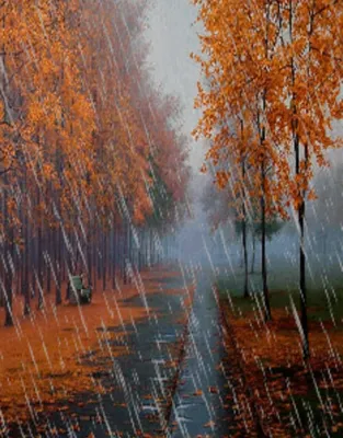 Дождливая осень картинки - 53 фото