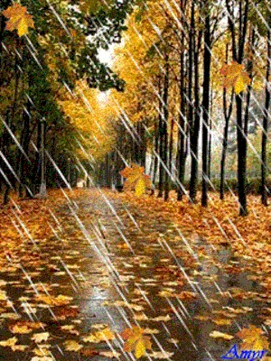 Рисунок Осенний дождь №237424 - «Искусство натюрморта» (09.09.2021 - 07:22)