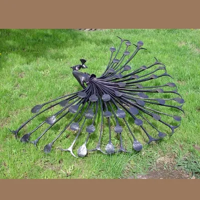 Павлин - царская птица (очень красивые фото этой птицы)