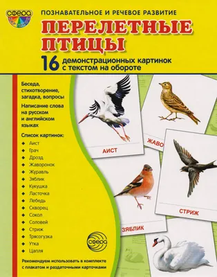 Иллюстрация 12 из 29 для Раскраска. Перелетные птицы | Лабиринт - книги.  Источник: Марина Епифанцева