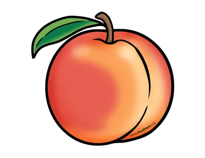 [74+] Картинка персик для детей обои