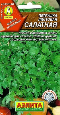 Петрушка семена – купить в Киеве, Украине | Магазин специй Делюкс