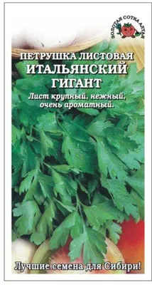 петрушка стоковое изображение. изображение насчитывающей вена - 11964321