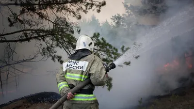 Раскраска пожарный тушит. Раскраска пожарный тушит пожар. Распечатать  раскраски на сайте.