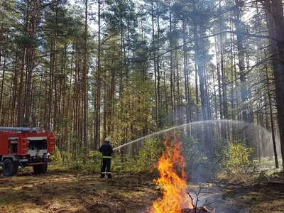 Пожарный Кислер тушит пожар с помощью ручного пожарного - Национальные  архивы США и DVIDS Поиск в мировом общественном достоянии