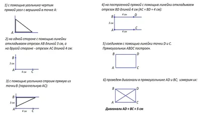 Ответы на рабочие листы по теме Изображение на листе в клетку прямоугольника  с заданными длинами сторон