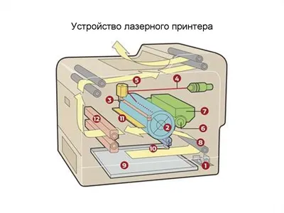 Принтер для ткани: как выбрать и где купить? Подбор оборудования для печати  на футболках