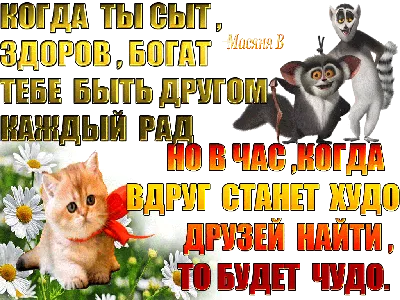 Цитаты про дружбу со смыслом - 📝 Афоризмо.ru