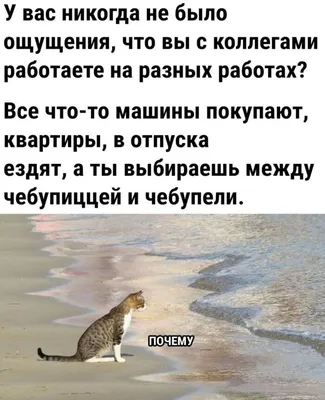 Статусы со смыслом - 👉🏻@citaty_hayluiz Оцените пост с 1 до 10. Друзья у  меня есть мечта собрать 100К подписчиков (адекватных людей)😇. Если не  трудно подписывайтесь. . . . . . . . . . #