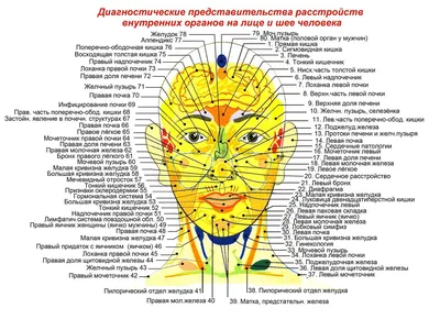 Дана Исабековна - ☝Прыщи на лице - какой орган не в порядке? Если глаза -  это отражение души, то лицо - это отражение состояния наших внутренних  органов. Если на лице появляются воспаления,