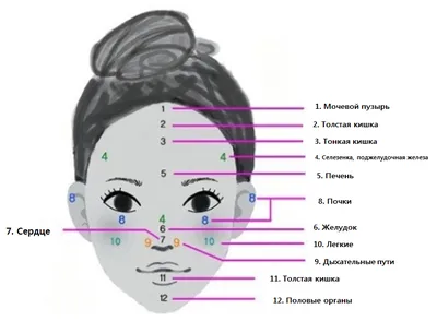 Высыпания на лице в определенных зонах говорят о том,чтобы обратить  внимание на другие органы👉 | Instagram
