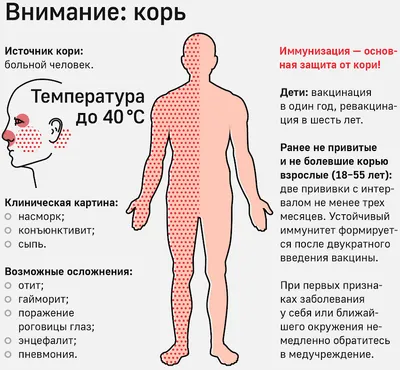 Пресс-центр - Центр гигиены и эпидемиологии №133