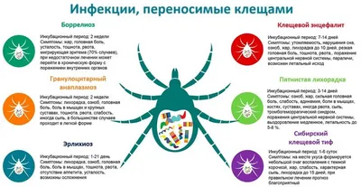 Лечение акне, прыщей, угрей, угревой сыпи в Москве - клиника “Косметомед”