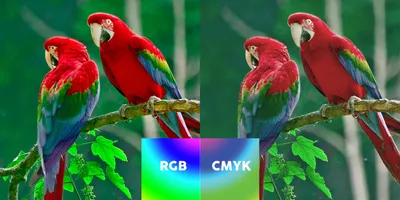 Introduction to Color Wheels and Color Theory: CMY, RGB, and RYB - YouTube