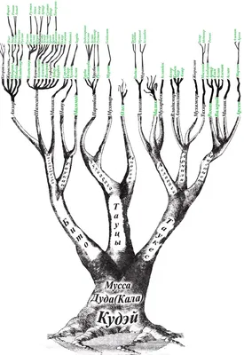 [77+] Картинка родословного дерева обои