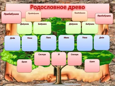 Генеалогическое древо - генеалогическое дерево семьи, цены на составление,  фото