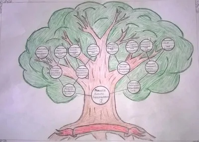 Картинки дерево родословное (48 фото) » Юмор, позитив и много смешных  картинок