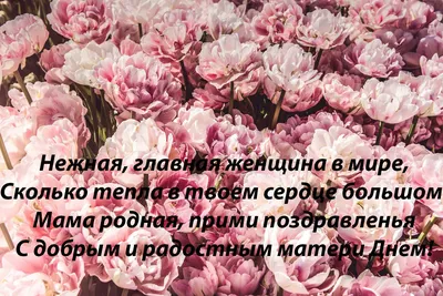 Вадим Хомин: Сегодня День матери, я сердечно поздравляю всех мам с этим  праздником! - Лента новостей Крыма