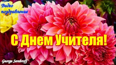 Подарок любимому учителю, сюрприз открытка мужчине или женщине, сувенир на  день рождения, 8 марта, день учителя и новый год, валентинка, мини стела. -  купить Сувенир по выгодной цене в интернет-магазине OZON (238903410)