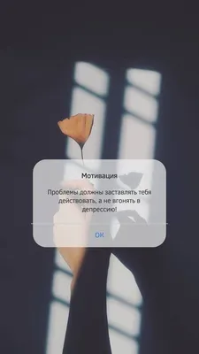 Картинка с мотивацией | Цитаты, Мотивация, Мотивирующие цитаты