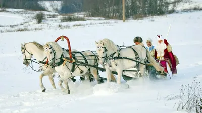 Аренда и прокат саней с лошадьми в Санкт-Петербургу (СПб), катание на санях  на свадьбе