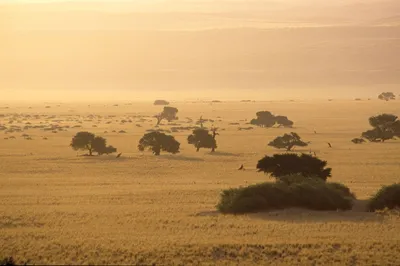 Photo Gallery: Grasslands, Prairies, and Savannas - National Geographic