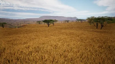 African Grassland (Savanna) Food Web