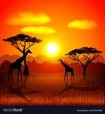 Sunset At African Savanna by James Bian