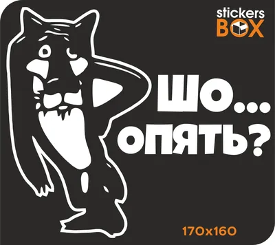 Туалет в деревне, волк | Настенный рисунок, Художественные мероприятия,  Декорация двора