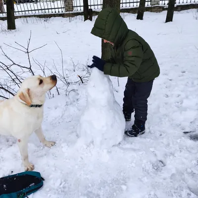 Самый забавный попрошайка из Кузбасса добился своей цели • 03.01.2024 •  Новости • Сибдепо