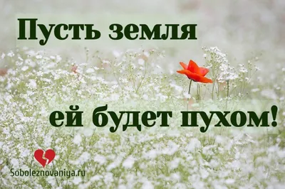 Сочувствую Ивану. У него нет отца. Сочувствую мужу. У него нет сына |  Приёмная мама Ванюшки | Дзен