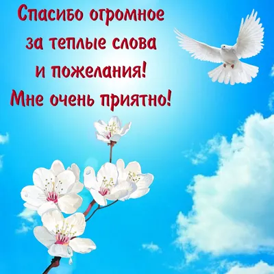 Как сказать на Эстонский? \"Спасибо, очень приятно. \" | HiNative