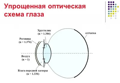 Глаз. Большая российская энциклопедия