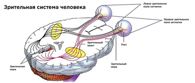 Вариант №14 (6)