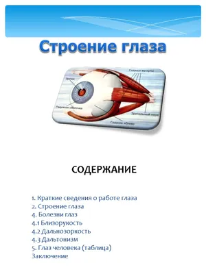 Как работает глаз? - полезные статьи от «Доступной среды»