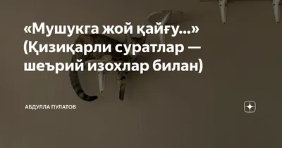 Шу сабабли...\" Хабиб Нурмагомедов машғулотидан ажойиб суратлар тақдим этди  (ФОТО) / Olamsport.com