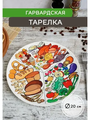 Тарелка суповая, фарфор, 18 см, Лепесток, MFK07995 в Россоши: цены, фото,  отзывы - купить в интернет-магазине Порядок.ру